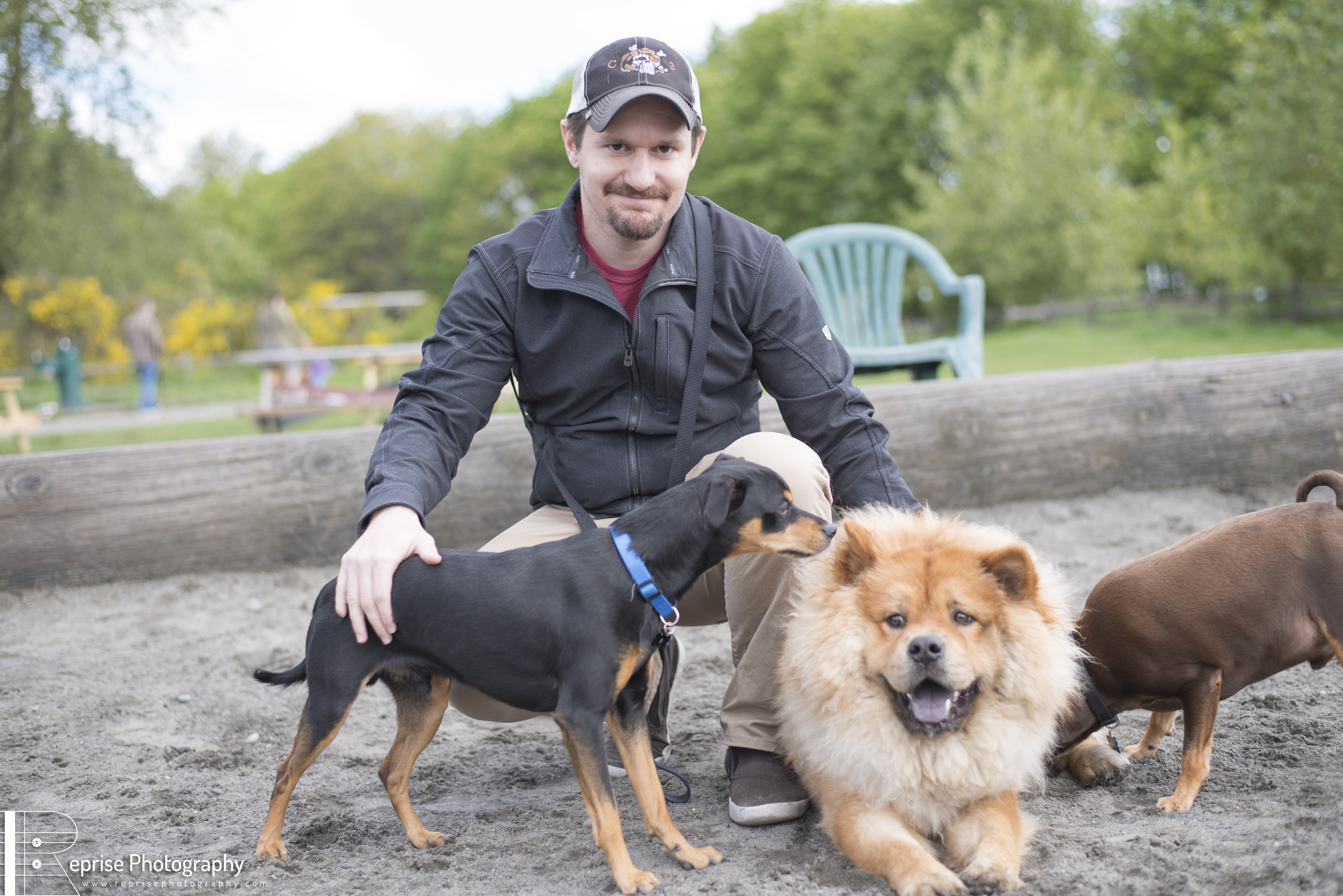 A Walk in the Dog Park