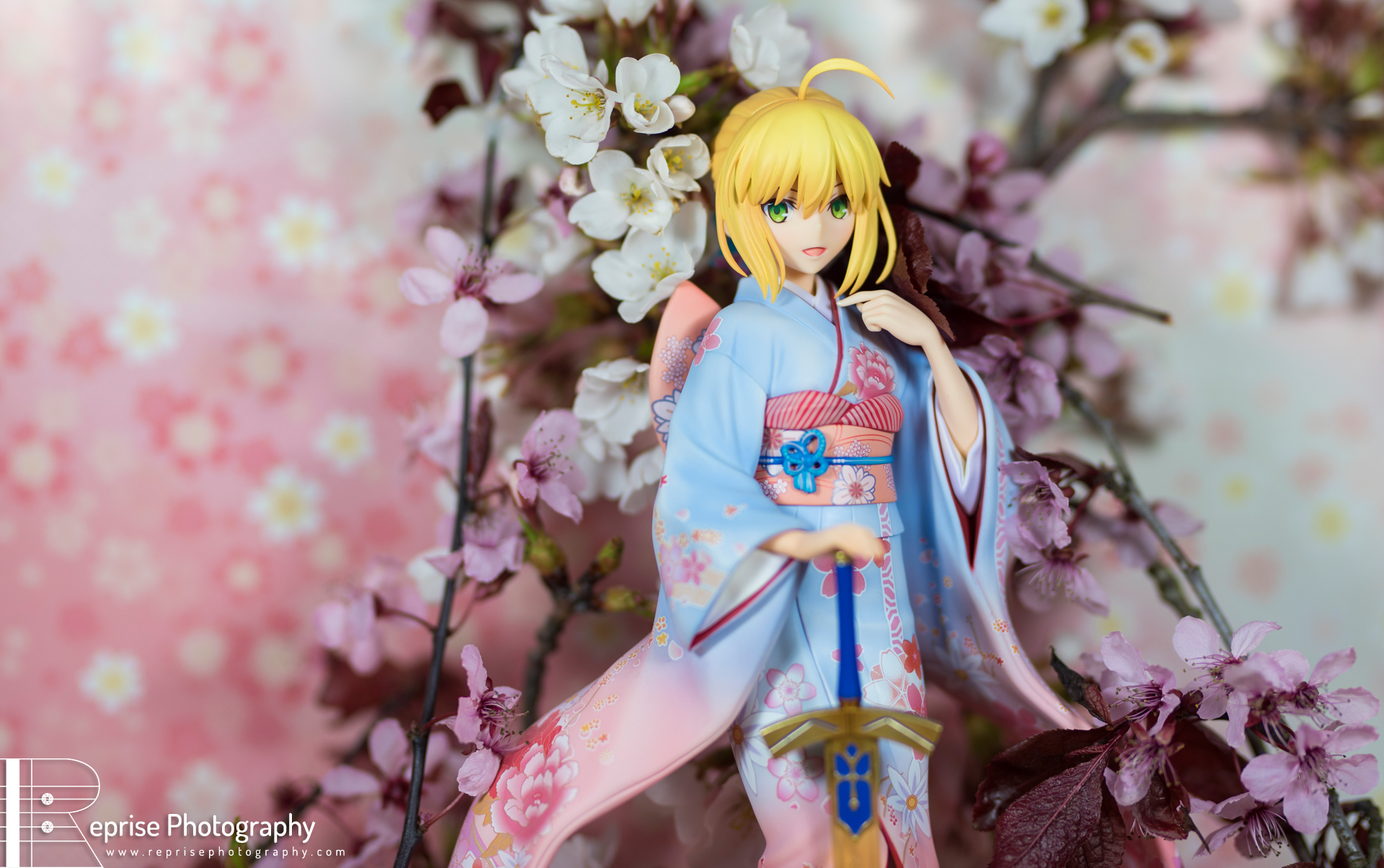 Saber and the Cherry Blossoms